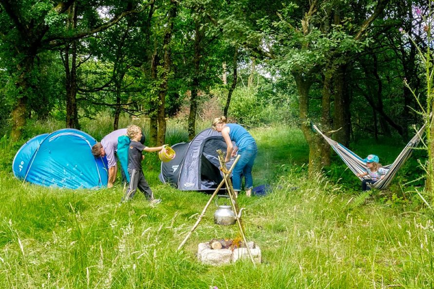 Wild Camping Pitch (Mystery Woods)