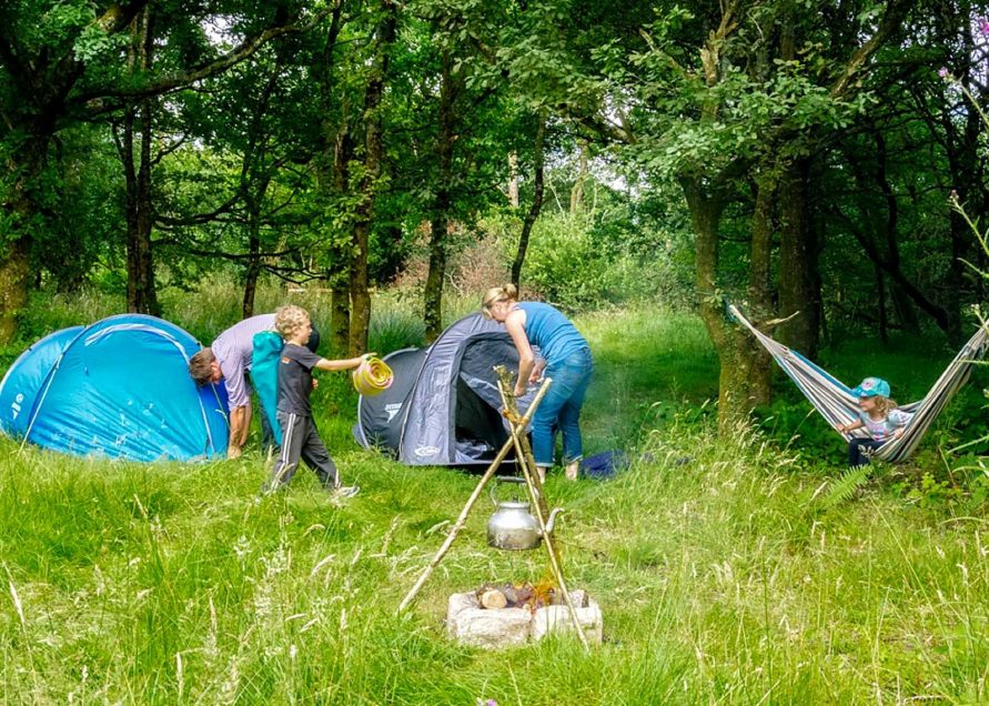 Wild camping in the woods